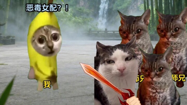 ตัวละครดื้อด้าน พลัง 1+2