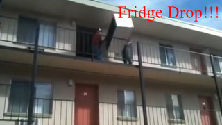 Fridge Drop