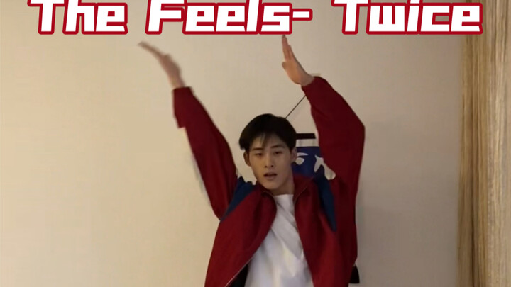 连头发都跟着一起跳twice的英单《The Feels》