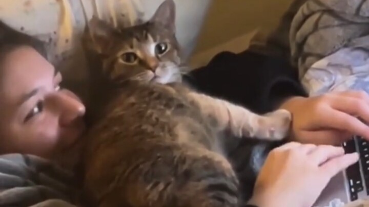 Kittens will cuddle with people they trust.