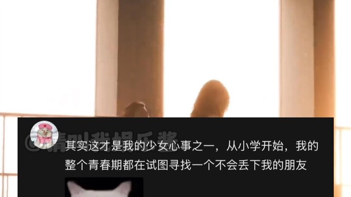 Finally, someone has put this feeling into words!