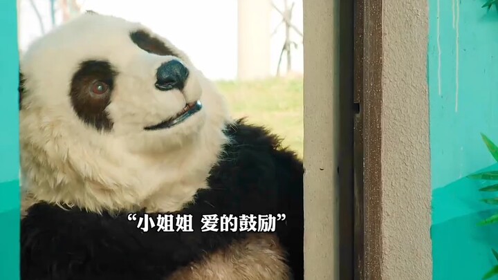 A group of people pretending to be animals are doing a booming business, but they are discovered by 