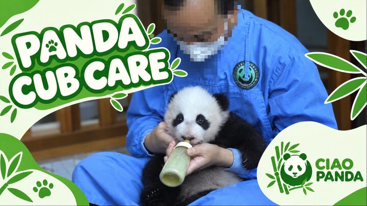 奶爸抱抱喂奶超治愈！Zookeeper Bottle-Feeds Adorable Baby 🍼🐾