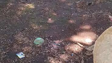 panalo malabo lang yung pag ka video