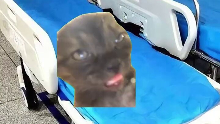 Hospital Hypoglycemia Lifeline