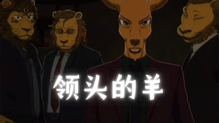 A great team needs a leader.