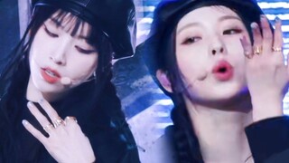 【NMIXX】ลูกแมวเป่ากลีบดอกไม้ vs. ลูกสุนัขเป่ากลีบดอกไม้