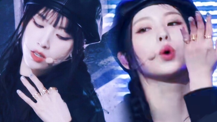 【NMIXX】ลูกแมวเป่ากลีบดอกไม้ vs. ลูกสุนัขเป่ากลีบดอกไม้