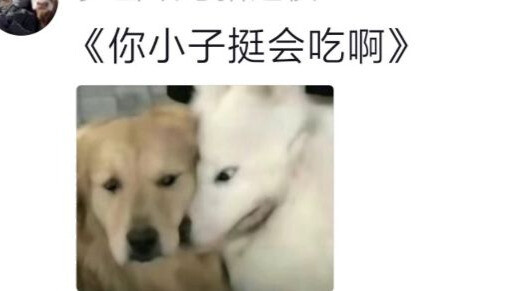 When I’d dressed up nicely, my boyfriend took me to eat plain noodle soup. After one bite, he said, 