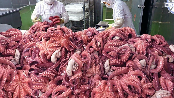 Vol.02 Seri Video Pembuatan Makanan Tanpa Narasi, Suara Latar Kerja, dan Musik Pengantar Tidur yang 