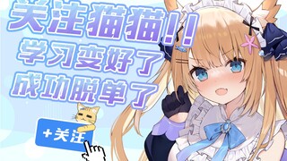 【四分钟看猫猫】关注猫猫教你防诈 警惕网络诈骗