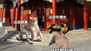 เล่าชีวิตของอี๋ซิวในประวัติศาสตร์ผ่านมีมแมว