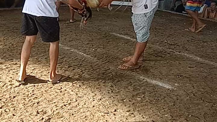 naka chamba ci nokis