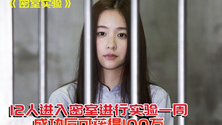 A experiment on human nature: 12 participants, but in the end, they all descend into madness.