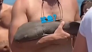 القرش: أريد فقط أن أجرب كيف يكون طعم لحم البشر!