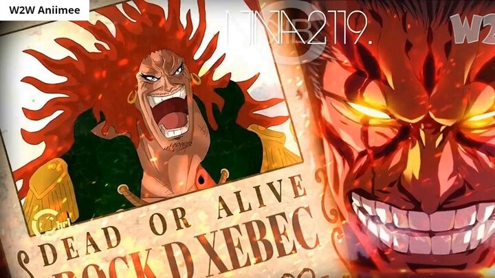 Ý CHÍ CỦA NHỮNG NGƯỜI TÊN D (The Will Of D) - One Piece 5
