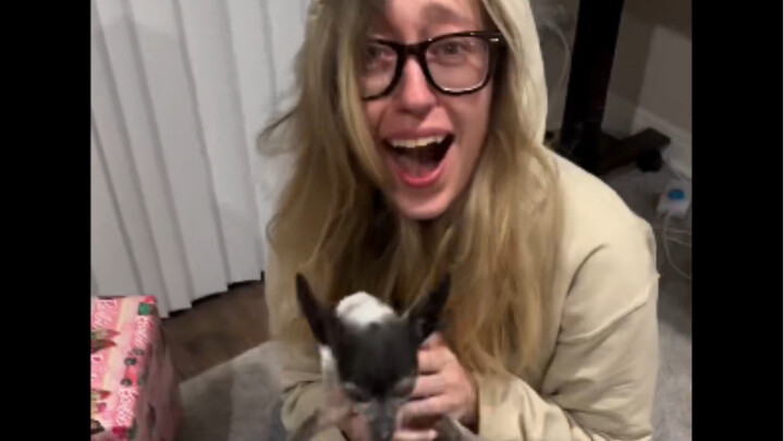 Christmas gift: She really wants a dog.