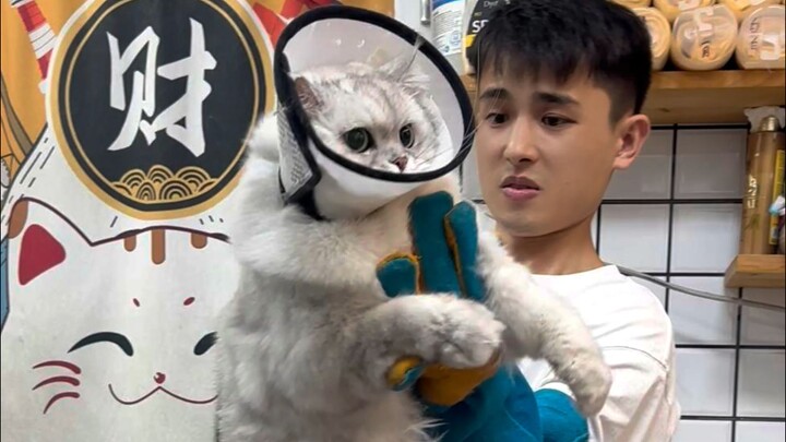 Kim Cát La đứng đầu Thiên Bảng