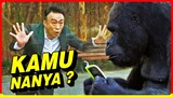 PRIA INI TIBA-TIBA BISA MENDENGAR BINATANG BERBICARA !! DAN TERKEJUT DENGAN APA YANG DIA DENGAR !!