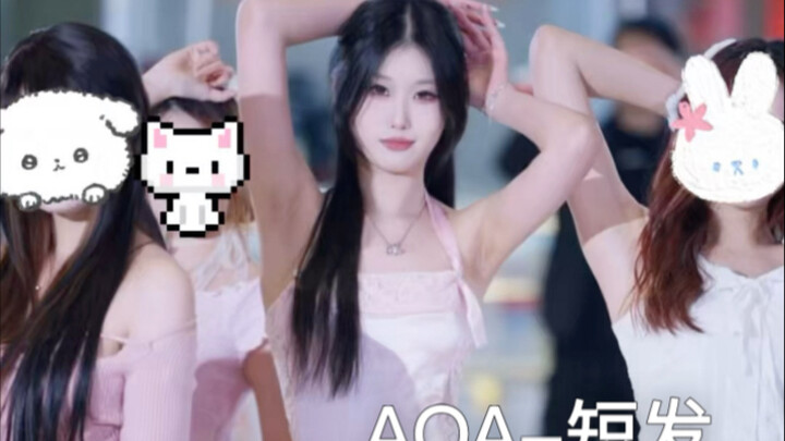 تجربة الوردي الأولى | AOA | شعر قصير