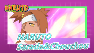 NARUTO|[Boruto/EP-67] Friendship of Sarada&Chouchou|Butterfly of Chouchou