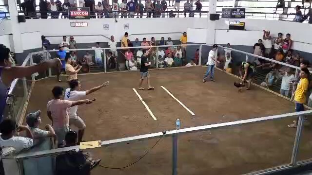 super 2wins maasin..W DDRaw