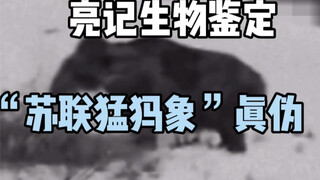 [Liangji Biological Identification] Authenticity of the "Soviet Mammoth"