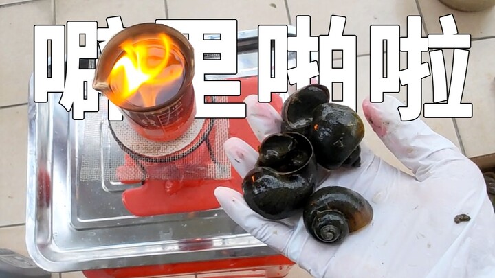 Menggoreng siput keberuntungan dengan oli mesin, apakah itu termasuk pemborosan makanan? Apakah saya