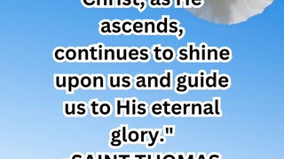 Daily Insight May 29, 2025 #faith #Saints  #Insight