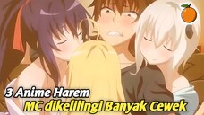 3 Anime Harem dengan MC tak terkalahkan yang di kelilingi banyak wanita cantik!!