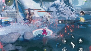 Monkey fight