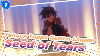 The Seed of Tears, The Flower of Smiles | Tengen Toppa Gurren-Lagann AMV_1