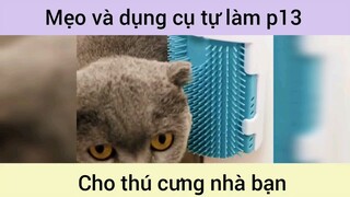 Mẹo và dụng cụ tự làm cho thú cưng p13