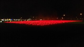 dancing lights