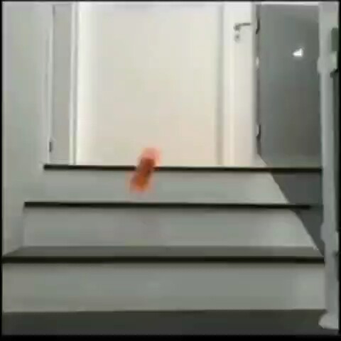 When you drink water in the middle of the night and worry about disturbing your family