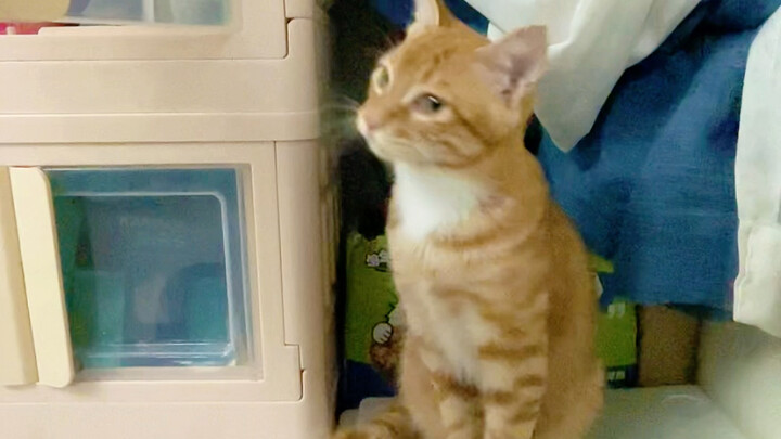 ไม่มีใครเกิดมาเป็นด็อกเตอร์โดยธรรมชาติ แค่คุณไม่เห็นความพยายามเบื้องหลัง #เฉินเบล่าของเฉินดัวลา #พ่อ