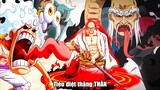 Tiết lộ TRÁI GOMU THẬT từ DẠNG ZOAN Ngũ Lão Tinh - One Piece Chap 1110 Pre