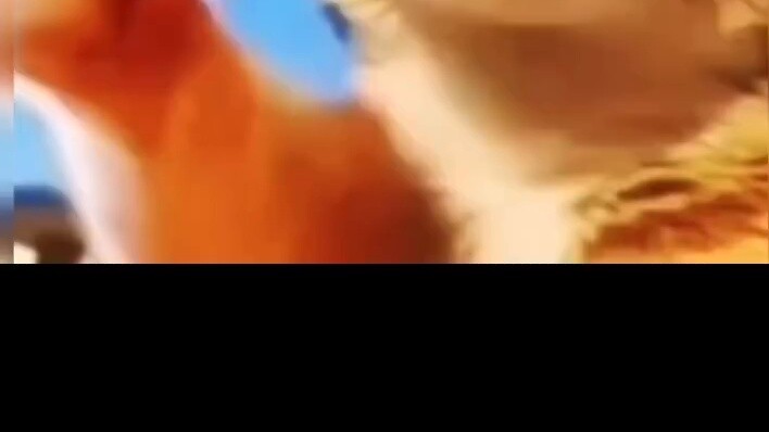 The abstract, bizarre, explosive and hilarious moments made me laugh dozens of times!