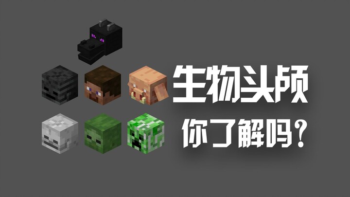 How Much Do You Know About [Minecraft] Mob Heads?