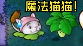 魔法猫猫！稳啦！屁用没有！完啦！