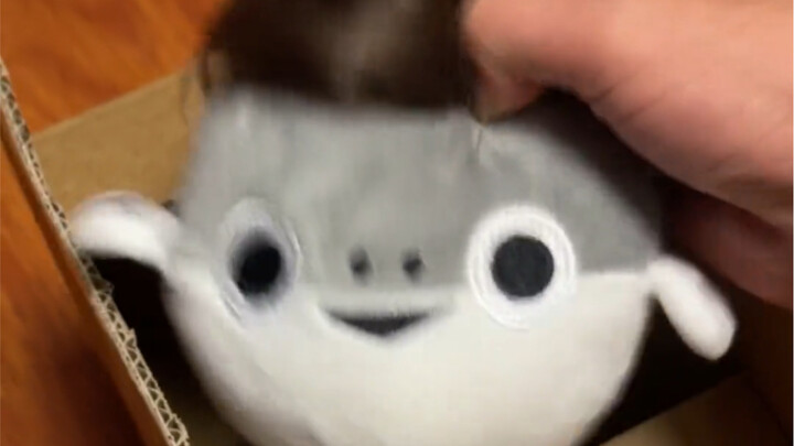 给快递小哥吓坏了