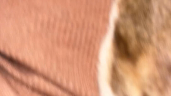 ไม่ใช่ฉันโม้นะ ของฉันขายดีมากเลยล่ะ