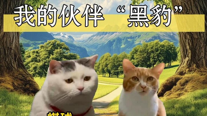 My Unique Pet "Black Panther"