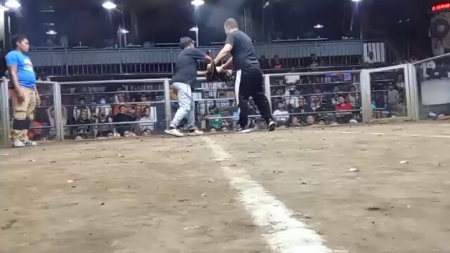 #win