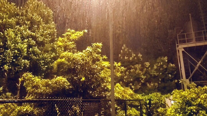 Rainy Season