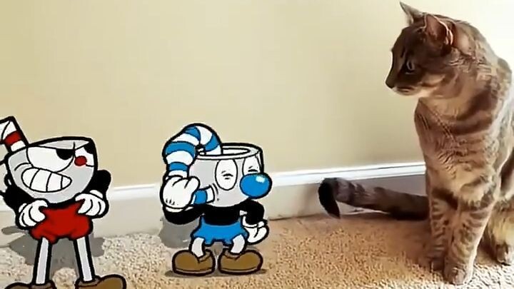 Cuphead Hardest Boss - Meow Meowie