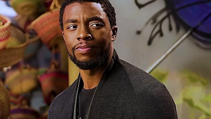 This is the Black Panther 2 I want to see