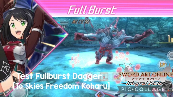 SAOIF: Test Fullburst Dagger- [To Skies Freedom Koharu]