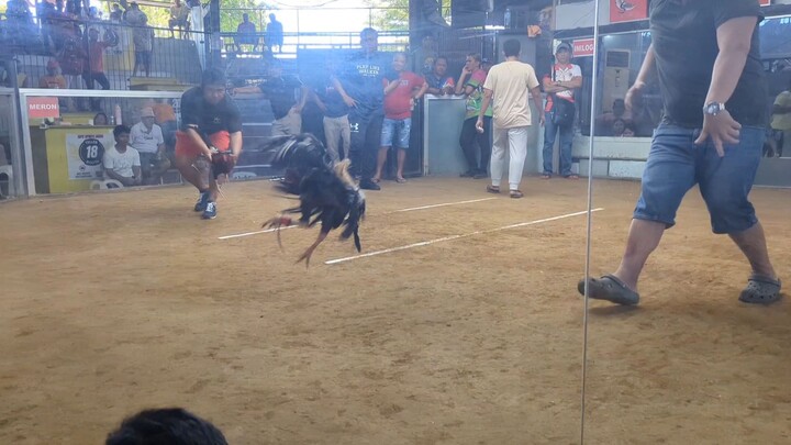 WIN Stuart YLH May 2025