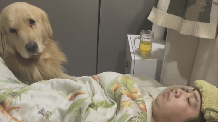 You may not believe it, but I rely on my dog to take care of me.